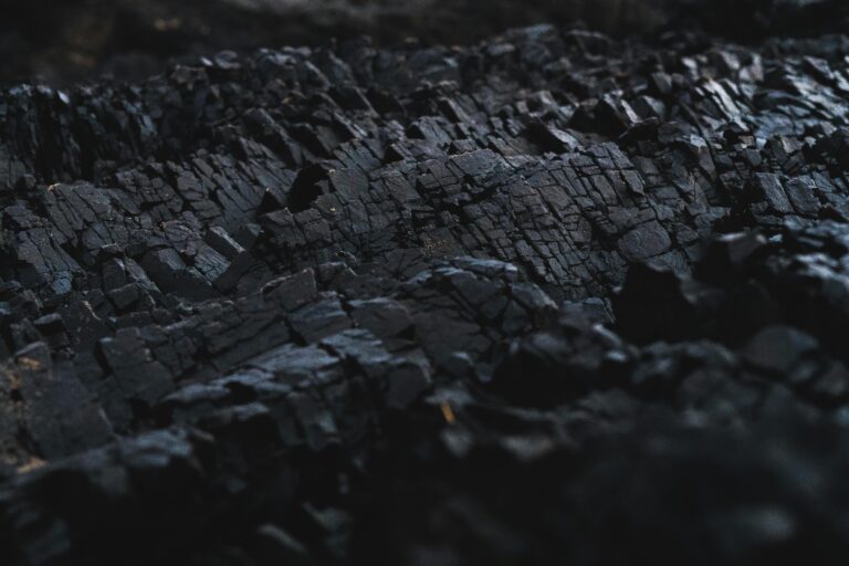 The Carbon Exchange